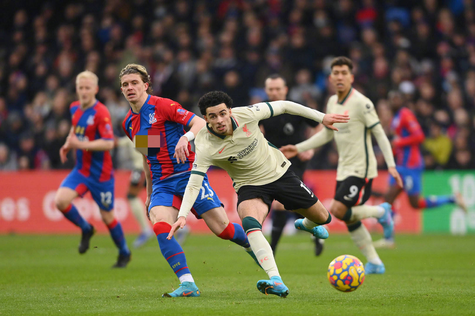 济增长的亮 济增长的亮